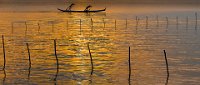 395 - ORO IN LAGUNA - LORENZO RANZATO - italy <div